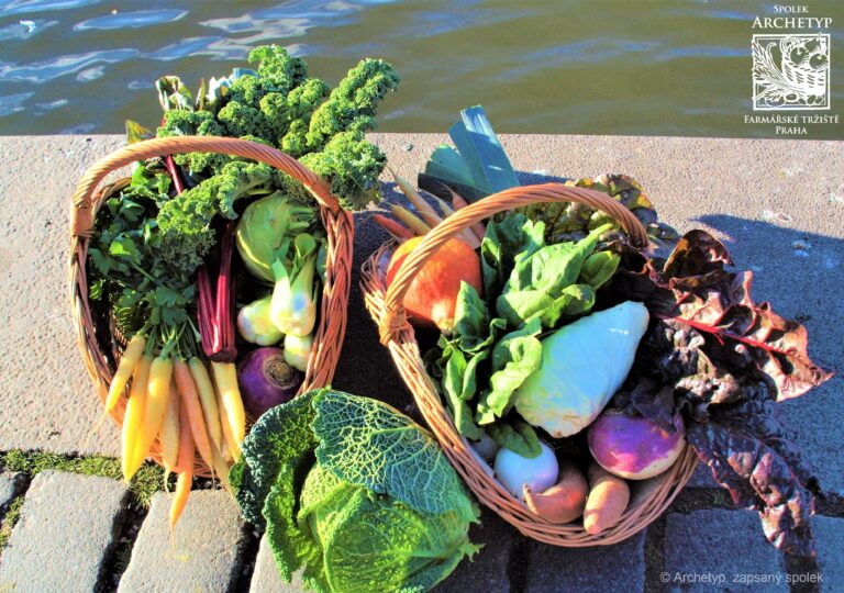 69a94ebab2de6703637808